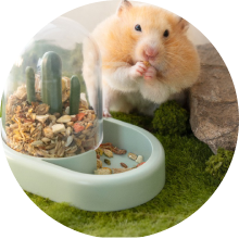 small_animals